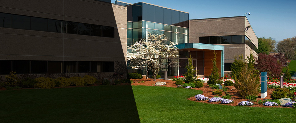 Exton Landscapers