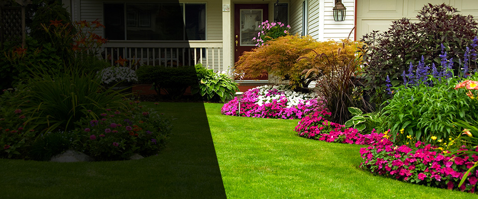 Exton Landscapers