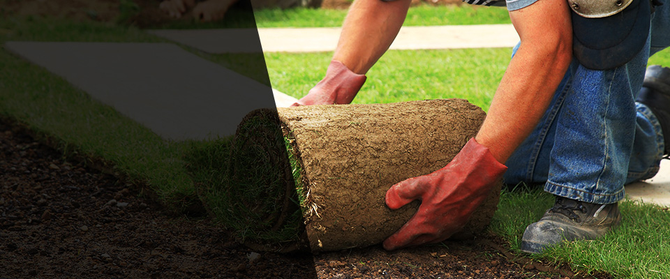 Exton Landscapers
